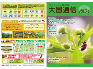 制作事例：大国フーズ様制作物イメージ